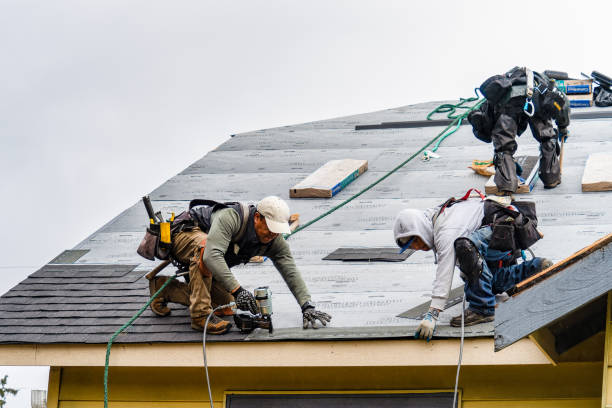 Professional Roof Replacement technician working in New Haven, MI